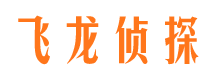 武城飞龙私家侦探公司